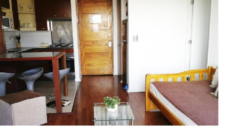 Amistar Apartments Santiago Kültér fotó